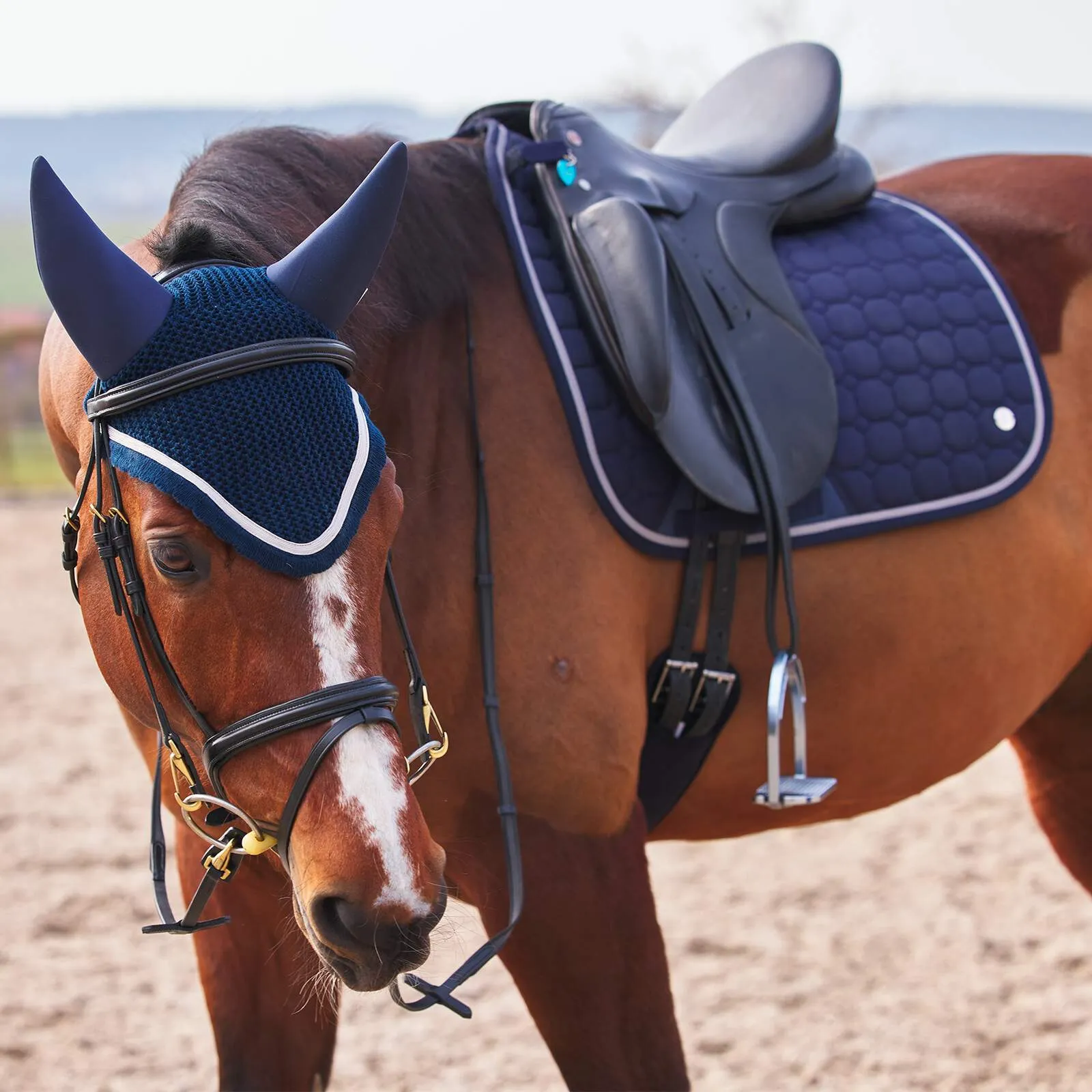 B Vertigo Zurich Dressage Saddle Pad (Navy)