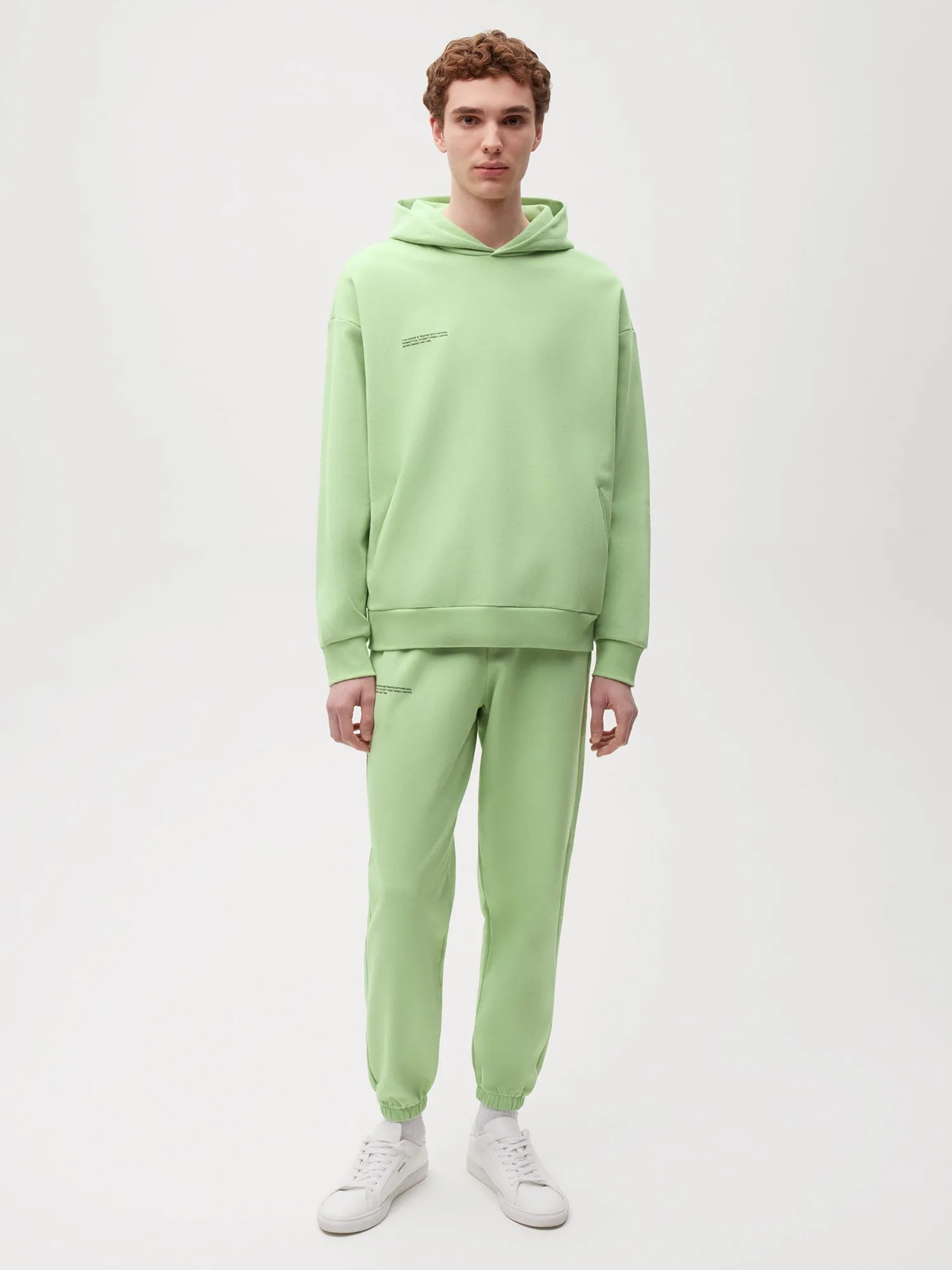 Mens Archive 365 Midweight Track Pants—pistachio